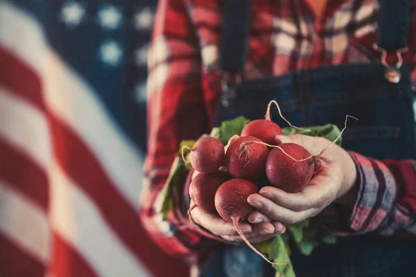 Petani wanita Amerika yang memegang banyak lobak hasil panen — Stok Foto