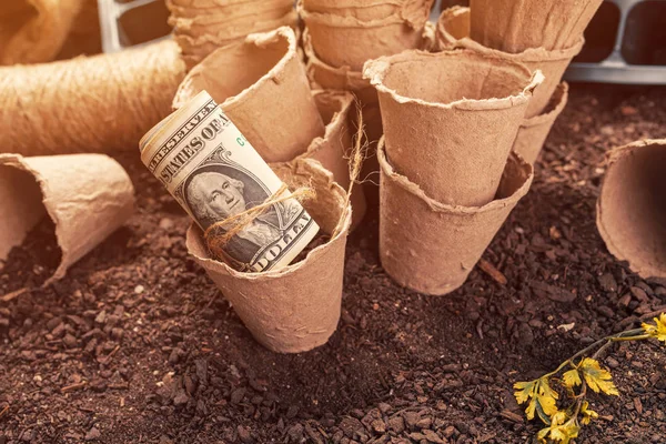 Recipientes biodegradáveis de turfa e notas de dólar dos EUA — Fotografia de Stock