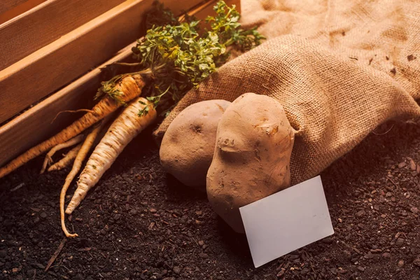 Persilja och potatis ekologisk odling med visitkort mock up — Stockfoto