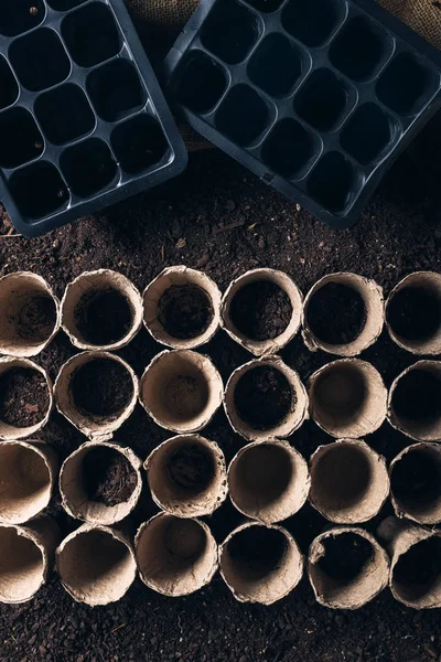 Biodegradable peat pot on greenhouse compost humus soil — Stock Photo, Image