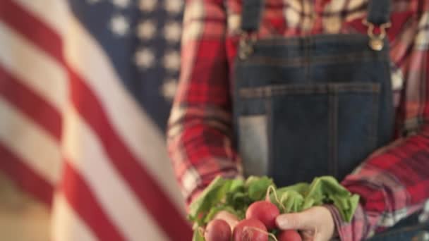 Une Agricultrice Américaine Tenant Tas Radis Récoltés Près Des Mains — Video