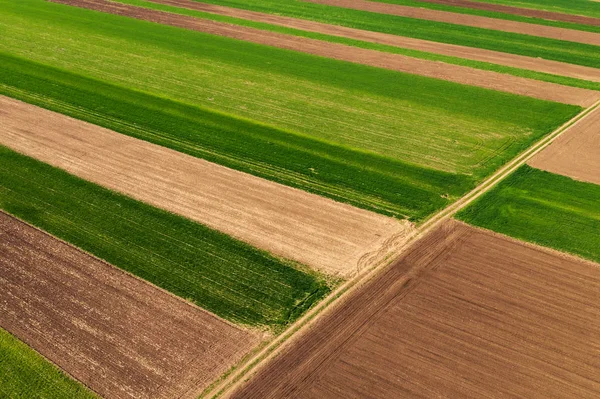 Vista aérea de los campos agrícolas rurales patchwork — Foto de Stock