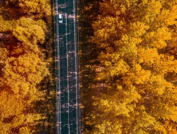 Vista aérea del coche en carretera a través del bosque en otoño —  Fotos de Stock
