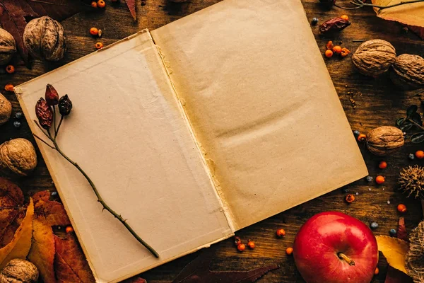 Pusta strona pamiętnika kopii miejsca z jesiennym dekoracji — Zdjęcie stockowe