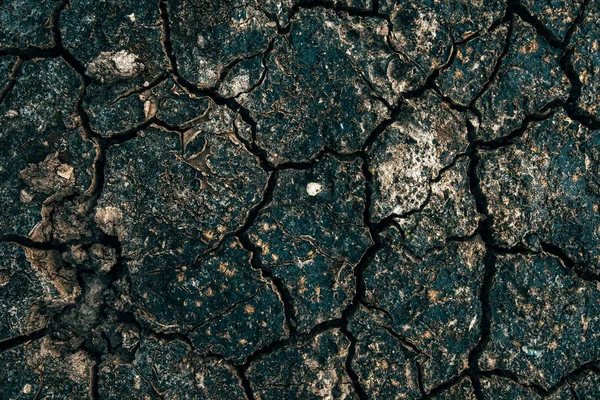 진흙 균열 텍스처 상단 보기 — 스톡 사진