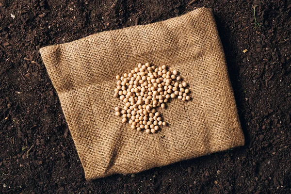 Top uitzicht van soja zaden — Stockfoto