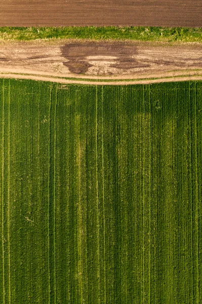 Vista aérea del camino de tierra a través del campo y la agricultura —  Fotos de Stock