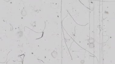 Kir çizikler ve toz ile Film slayt projektör ekranı, bilgisayar oluşturulan