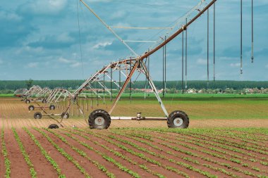 Pivot irrigation system in cultivated soybean and corn field clipart