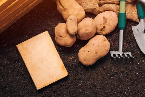 Oude boek over groeiende biologische aardappel, mock up — Stockfoto