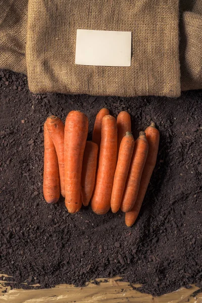 Carota biologica crescente biglietto da visita finto — Foto Stock