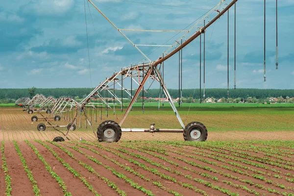 Sistema de irrigação por pivô em soja cultivada e campo de milho — Fotografia de Stock