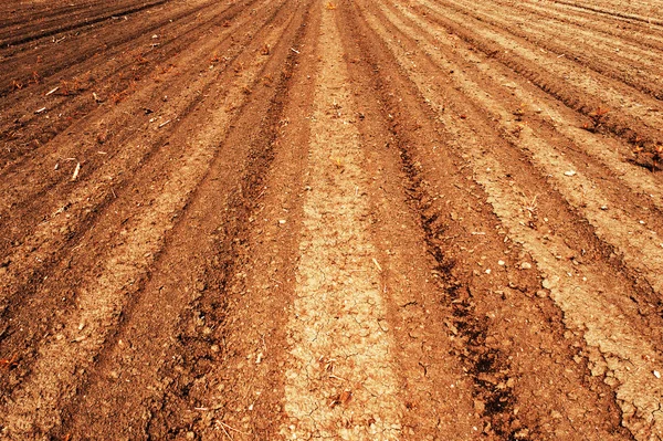 Plowed field land — Stock Photo, Image