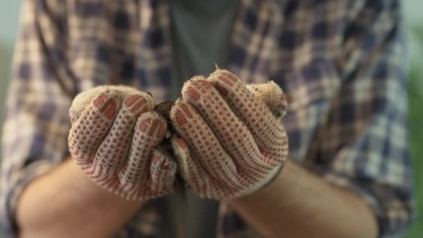 Jardineiro Segurando Solo Mãos Copos Produtor Alimentos Orgânicos Masculinos Punhado — Vídeo de Stock