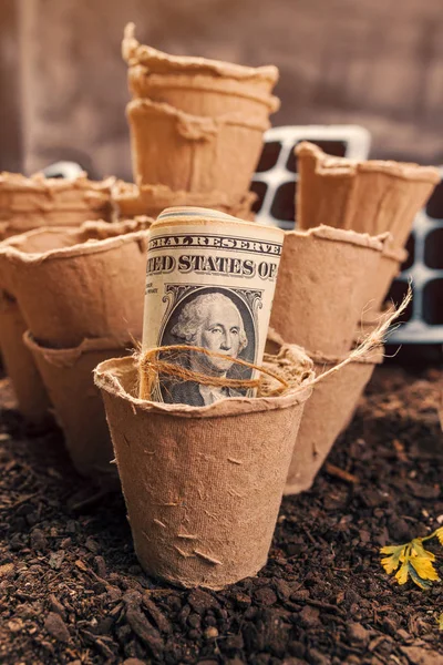 Biodegradable peat pot soil containers and US dollar banknotes — Stock Photo, Image