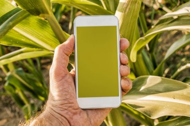 Agritech ve akıllı tarım, cep telefonu uygulaması ekran kadar alay