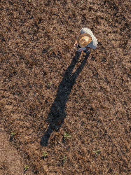 Το top view αρσενικό αγρότη που φέρουν ένα drone στο πεδίο — Φωτογραφία Αρχείου