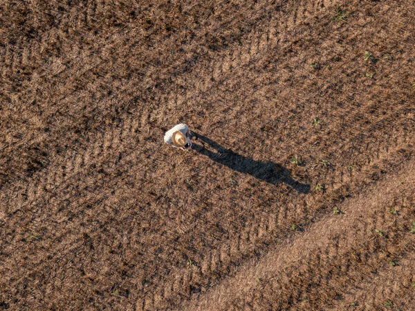 Το top view αρσενικό αγρότη που φέρουν ένα drone στο πεδίο — Φωτογραφία Αρχείου