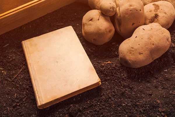 Vecchio libro sulla coltivazione di patate biologiche, mock up — Foto Stock