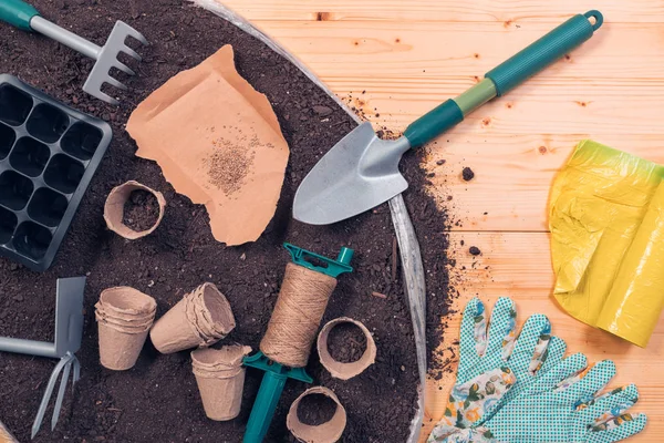 Biologische tomaat plant tool set top View — Stockfoto