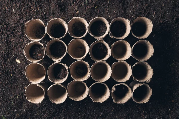 Biodegradable peat pot on greenhouse compost humus soil — Stock Photo, Image