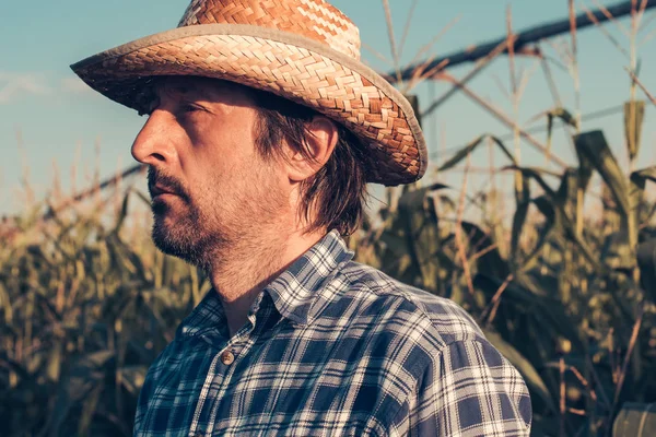 Retrato de agricultor sério confiante no campo de milho — Fotografia de Stock