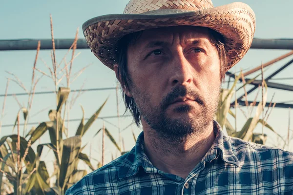 Serious thoughtful farmer in corn field — Stock Photo, Image