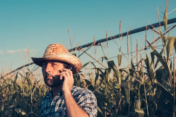 在玉米田里使用手机的严肃农民的肖像 — 图库照片
