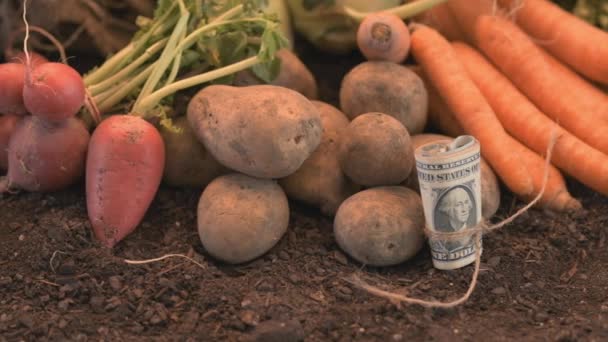 有機農業から利益を得て 収穫された自家製の農産物の上にお金ロール ドリーショット — ストック動画