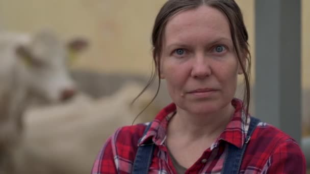 Stolt Framgångsrik Bonde Cow Dairy Farm Porträtt Vuxen Kaukasisk Kvinnlig — Stockvideo