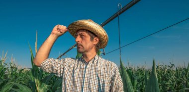 Sulama sistemi ile mısır tarlasında ciddi ilgili çiftçi