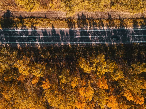 Vista aérea de dos coches en carretera a través del bosque de otoño —  Fotos de Stock
