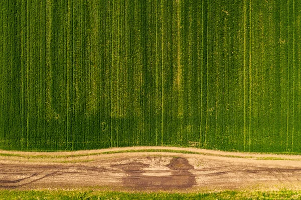 Aerial view of dirt road through countryside and agricultural fi — Stock Photo, Image