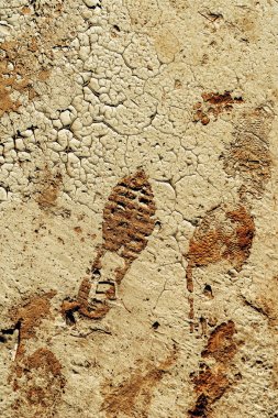 Çamur çatlak yüzeyinde ayakkabı izi veya ayak izi