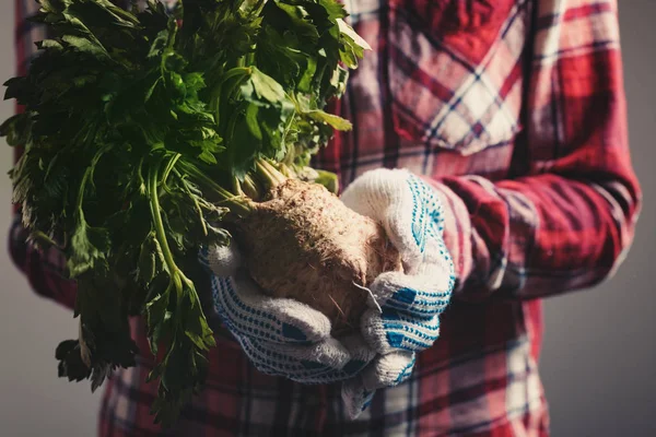 Petani memegang seledri hasil panen — Stok Foto