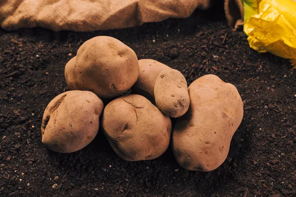 Bio-Kartoffelknollenstapel — Stockfoto