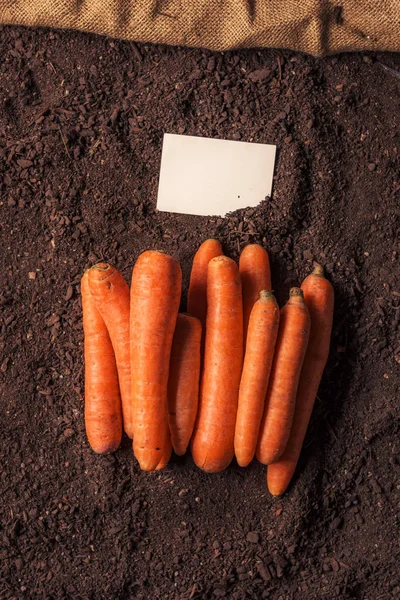 Biologische wortel groeiende visitekaartje mock up — Stockfoto