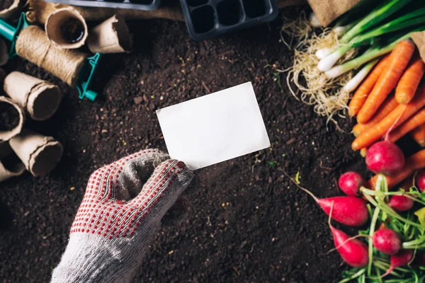 Kartu bisnis mock up untuk organik homegrown menghasilkan budidaya — Stok Foto