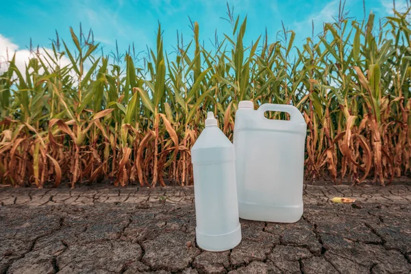 Jarro químico plástico branco do pesticida no milheiral — Fotografia de Stock