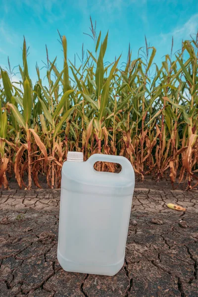 Weißer Plastikpestizidkrug im Maisfeld — Stockfoto