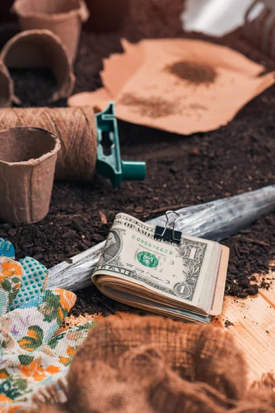 Ganhar dinheiro na agricultura biológica — Fotografia de Stock