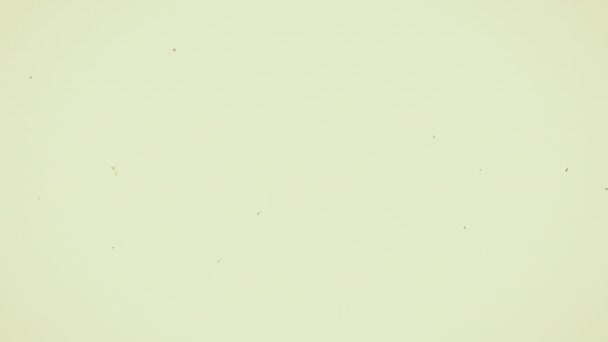 Слайд Проектор Грязными Царапинами Пылью Созданный Компьютером — стоковое видео