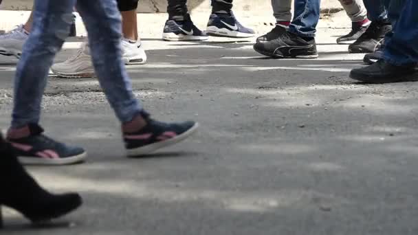 Novi Sad Serbia Mayo 2019 Gente Caminando Por Calle Ciudad — Vídeos de Stock