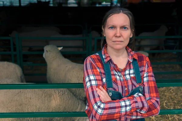 Agricoltrice nell'allevamento ovino — Foto Stock