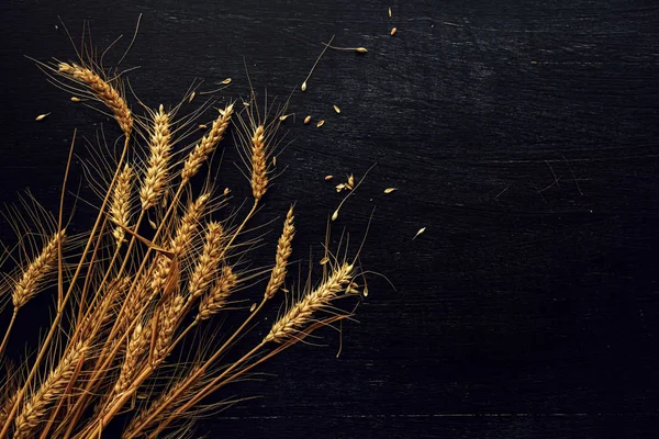 Orejas de trigo y granos —  Fotos de Stock