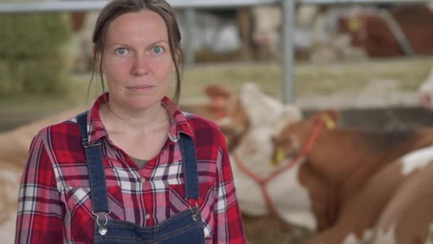 牛酪農場の女性農家 芝居のシャツを着た女性農場労働者の肖像と牛小屋の全体のビブオーバー — ストック動画