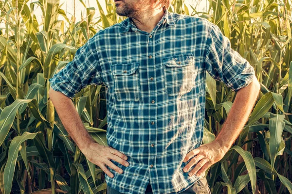 Agricoltore è pronto per l'azione, posa con le mani sui fianchi — Foto Stock