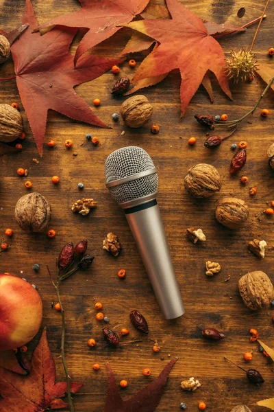 Platte lag bovenaanzicht microfoon met herfst arrangement — Stockfoto