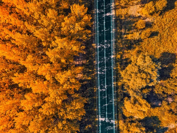 秋の森を通る空の道路の航空写真 — ストック写真