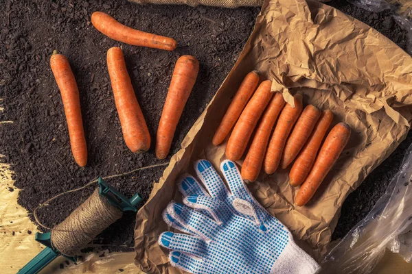 Embalaje ecológico de zanahorias de cosecha propia para el mercado agrícola — Foto de Stock